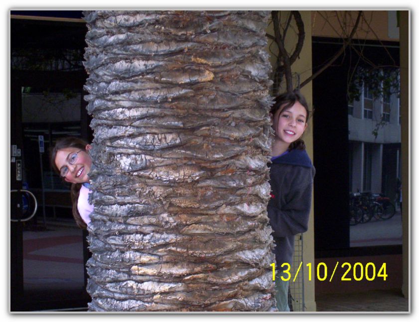 TK hiding behind palm tree with racheal